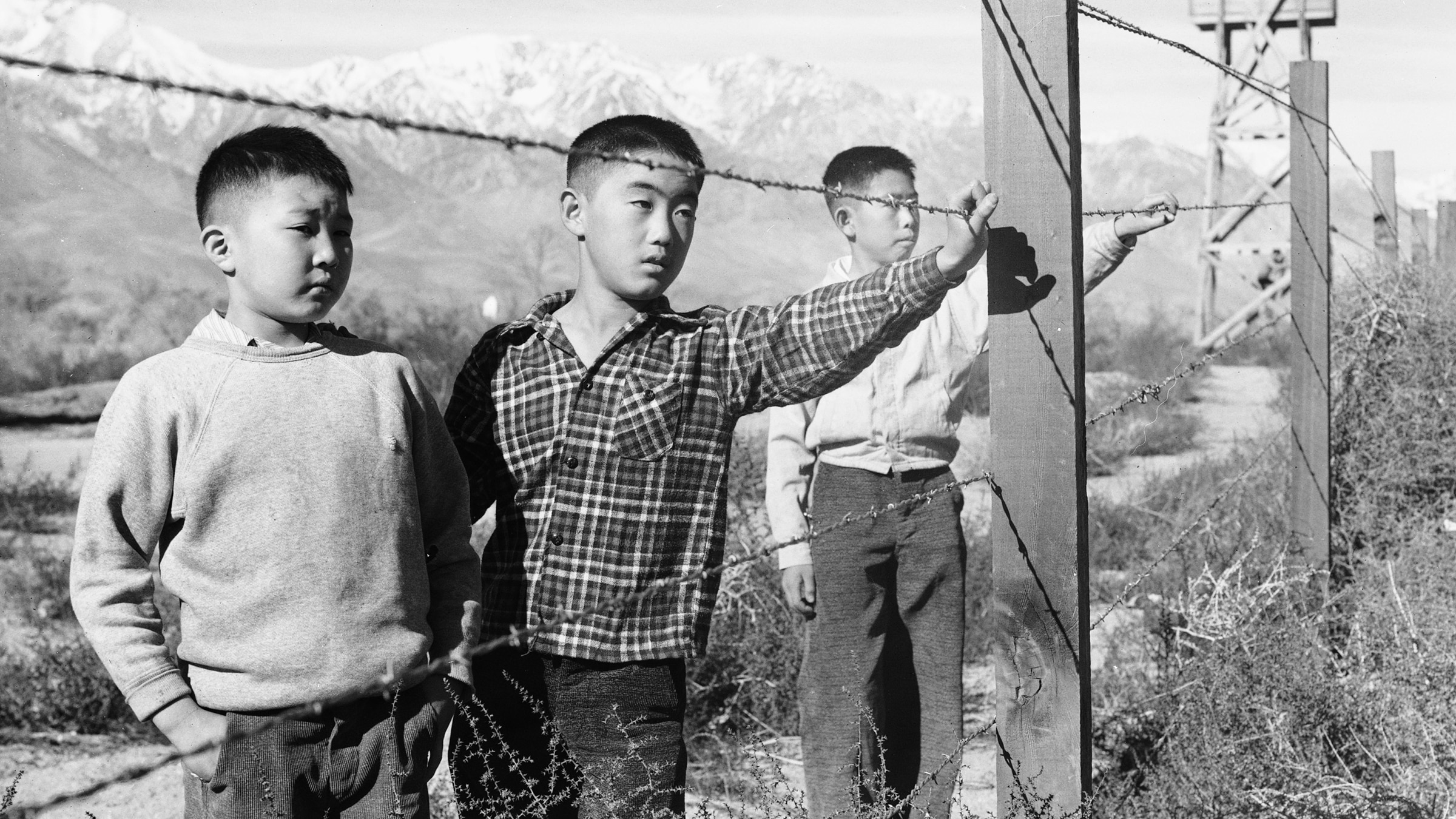 Rule of Law - Injustice Legalized: World War II Japanese American Internment